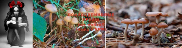 спайс Нязепетровск