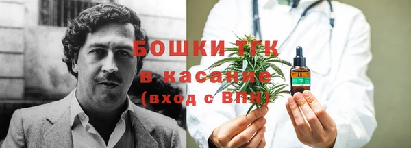 дмт Няндома