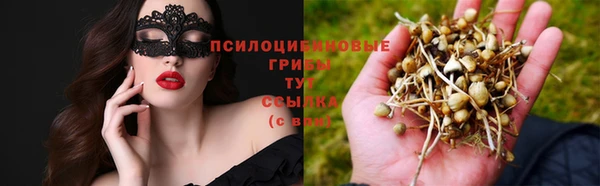 трава Нягань