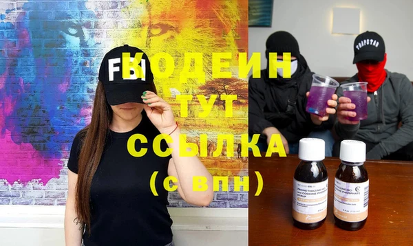дмт Няндома