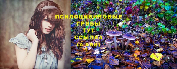 спайс Нязепетровск