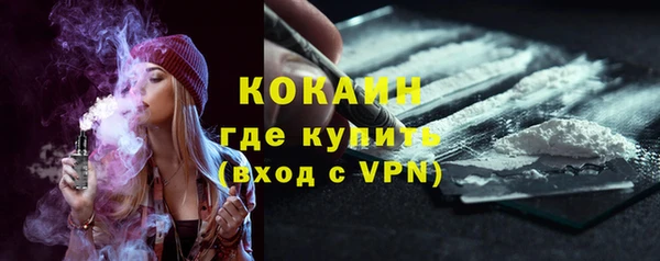 дмт Няндома